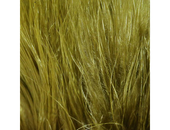 Hareline Strung Marabou Blood Quills Olive