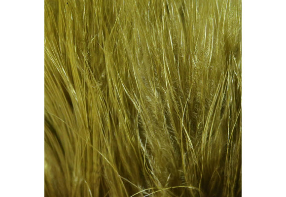 Hareline Strung Marabou Blood Quills Olive