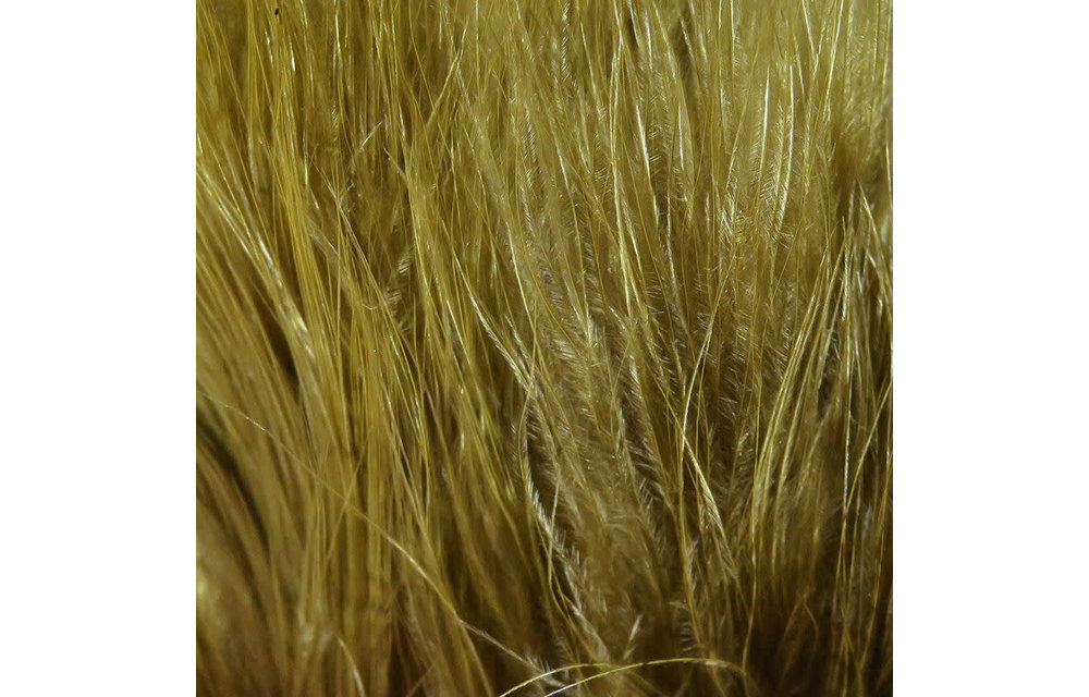 Hareline Strung Marabou Blood Quills Olive Brown