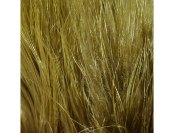 Hareline Strung Marabou Blood Quills Olive Brown