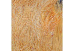 Hareline Strung Marabou Blood Quills Peach