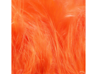 Hareline Strung Marabou Blood Quills Shrimp Pink