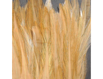 Strung Chinese 5-7 inch Saddle Tan #369