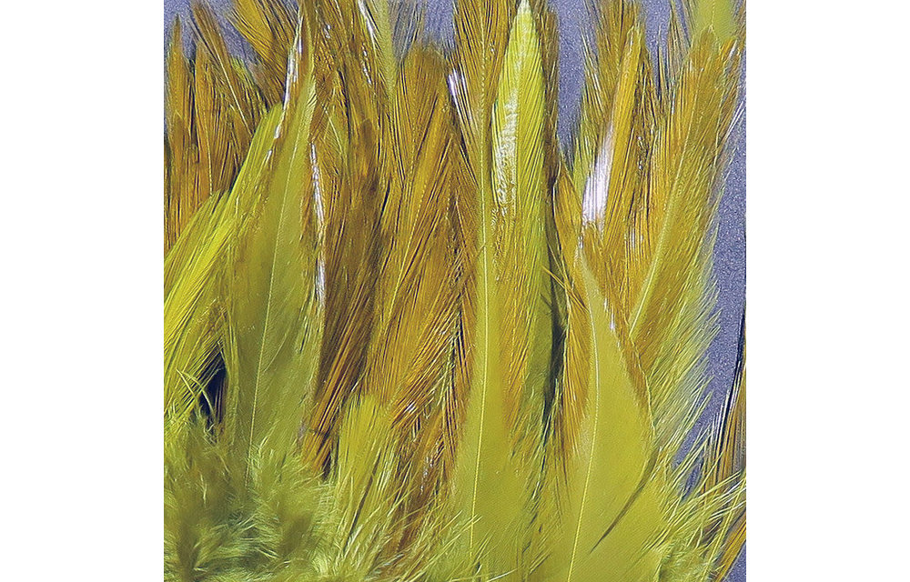 Strung Chinese 5-7 inch Saddle Olive #263