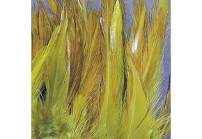 Strung Chinese 5-7 inch Saddle Olive #263