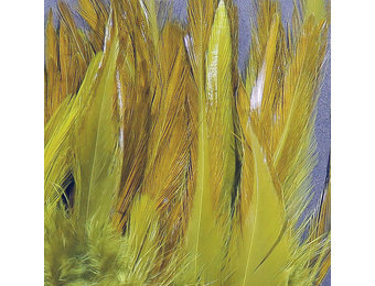 Strung Chinese 5-7 inch Saddle Olive #263