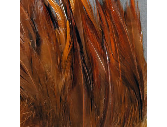 Strung Chinese 5-7 inch Saddle Fiery Brn #114