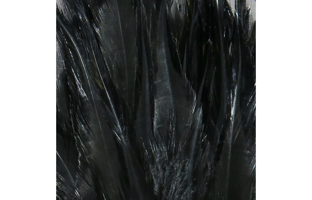 Strung Chinese 5-7 inch Saddle Black #11