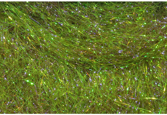 Ice Dub #265 Olive Brown