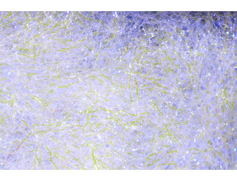 Ice Dub #285 UV Pearl