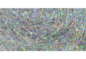 Ice Dub #344 Silver Holographic