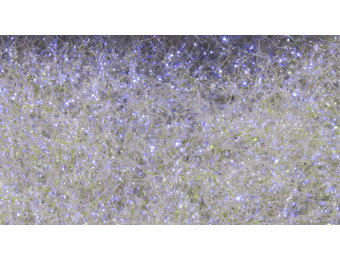 Ice Dub #50 Callibaetis