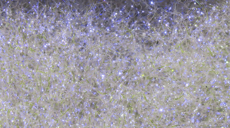 Ice Dub #50 Callibaetis