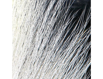 Large Northern Bucktail White #377