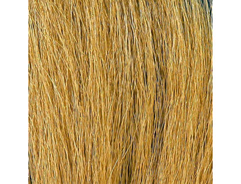 Large Northern Bucktail Camel #51