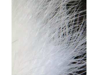 X-Select Marabou #377 White