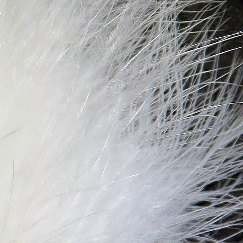 X-Select Marabou #377 White