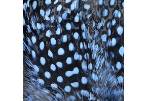 Strung Guinea Feathers Baby Blue #6