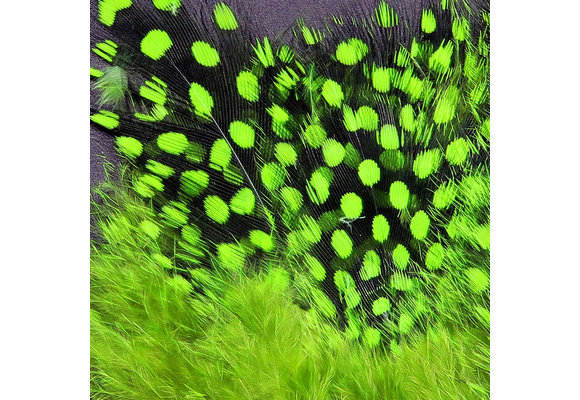 Strung Guinea Feathers Chartreuse