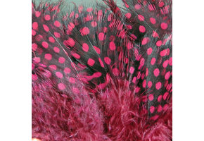 Strung Guinea Feathers Claret #63