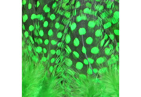 Strung Guinea Feathers High. Green #184