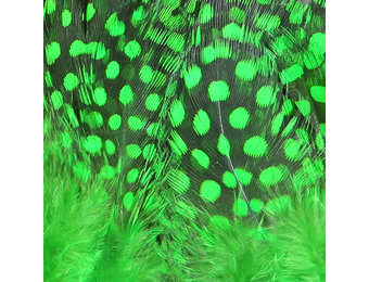 Strung Guinea Feathers High. Green #184