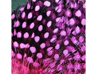 Strung Guinea Feathers Hot Pink #188