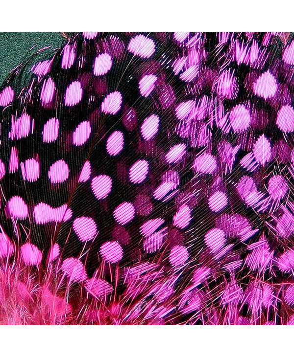 Strung Guinea Feathers Hot Pink #188
