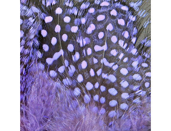 Strung Guinea Feathers Lavender #200