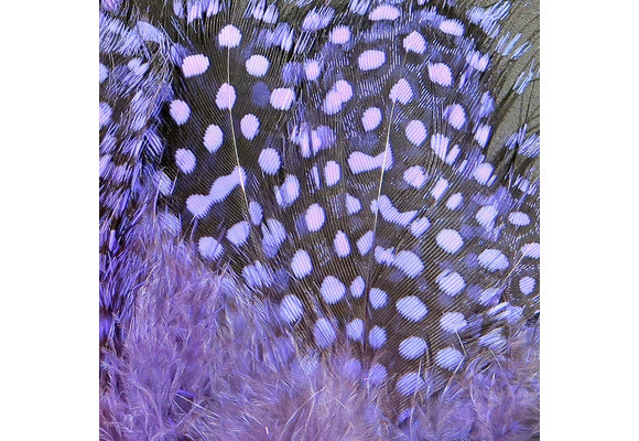 Strung Guinea Feathers Lavender #200