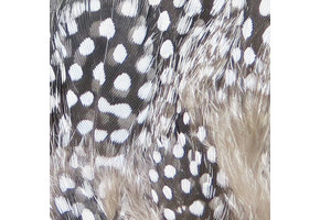 Strung Guinea Feathers Natural #242