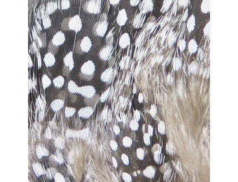 Strung Guinea Feathers Natural #242