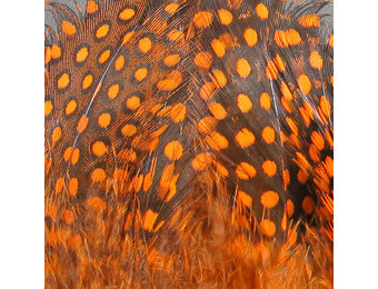 Strung Guinea Feathers Orange #271