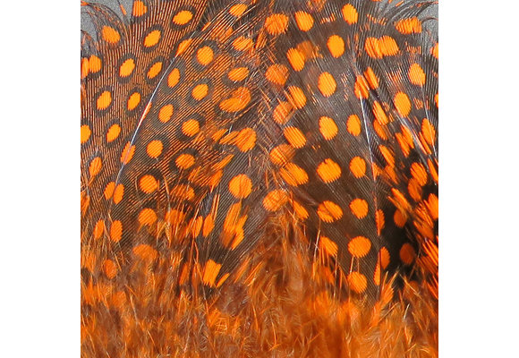 Strung Guinea Feathers Orange #271