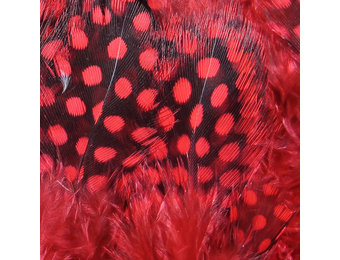 Strung Guinea Feathers Red #310