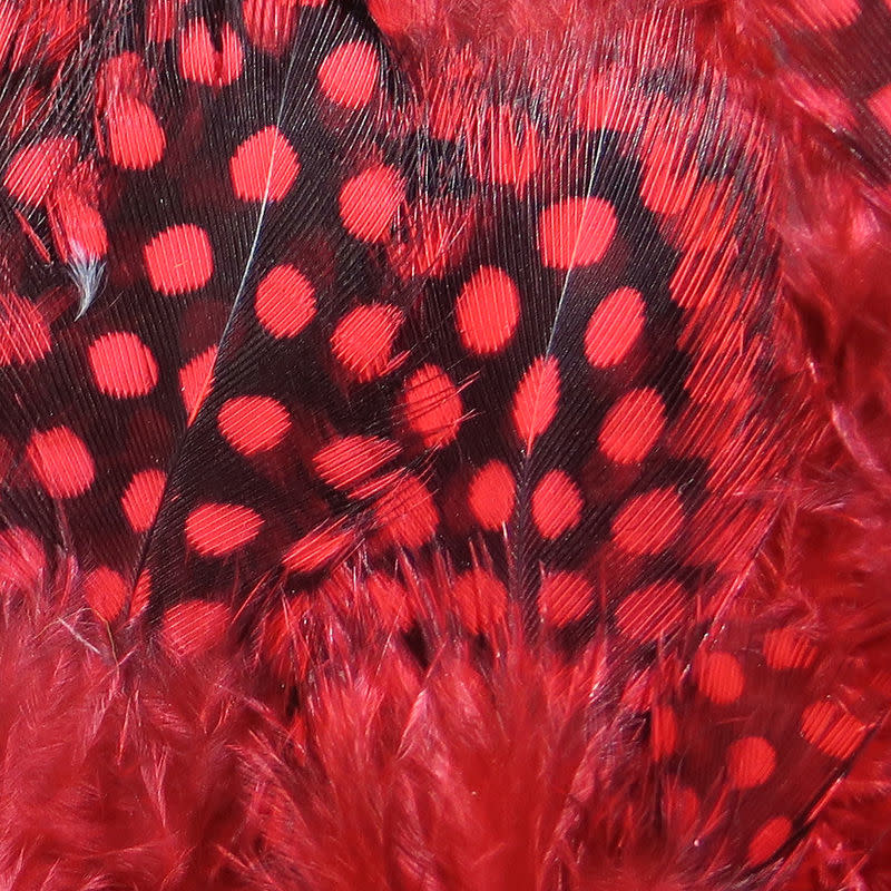Strung Guinea Feathers Red #310