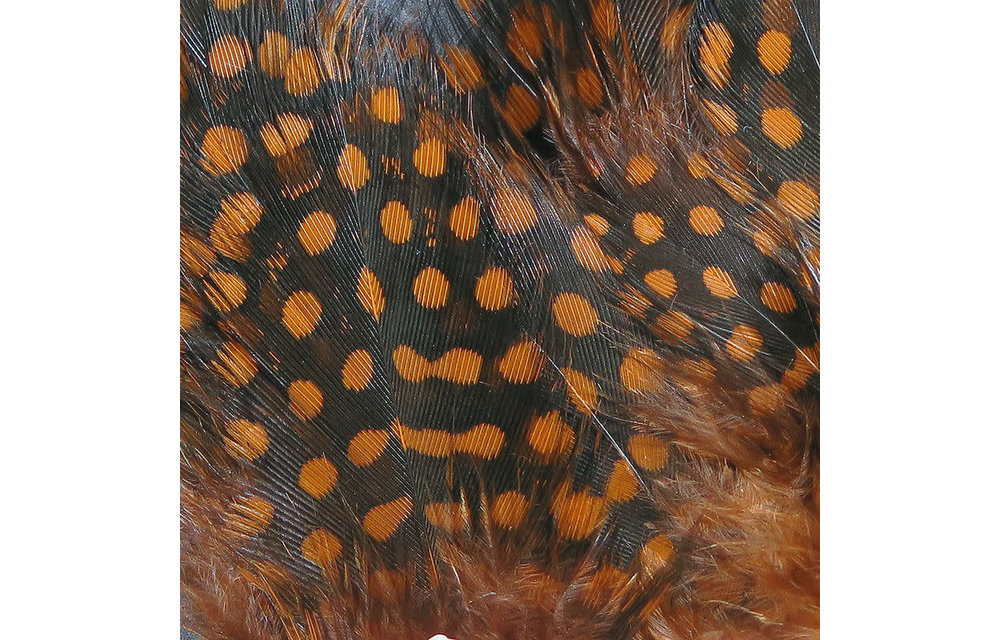Strung Guinea Feathers Rusty Brown #323