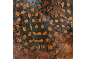 Strung Guinea Feathers Rusty Brown #323