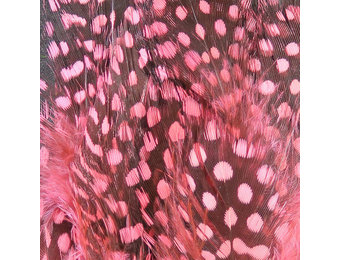 Strung Guinea Feathers Shrimp Pink #343