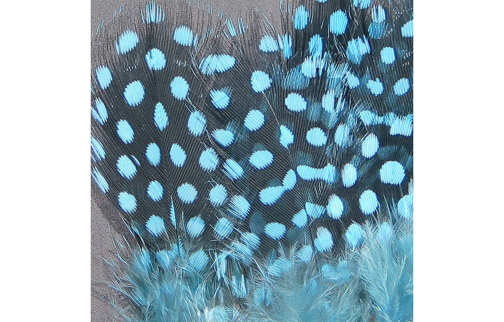 Strung Guinea Feathers Silver Doctor Blue #347