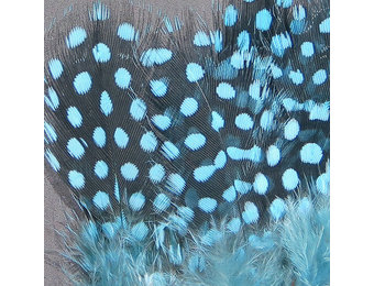 Strung Guinea Feathers Silver Doctor Blue #347