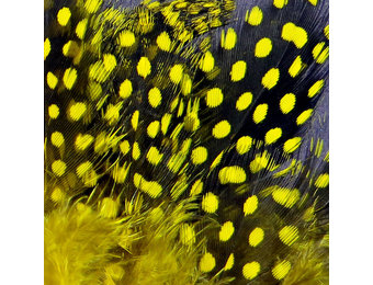 Strung Guinea Feathers Yellow #383