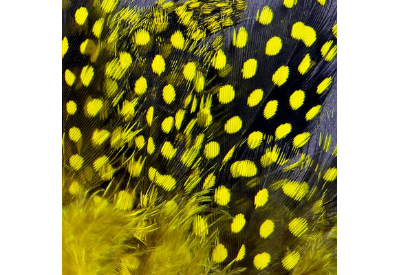Strung Guinea Feathers Yellow #383