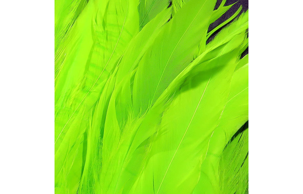 Schlappen 5-7 inch Fl Chart #127