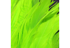 Schlappen 5-7 inch Fl Chart #127