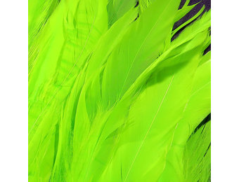 Schlappen 5-7 inch Fl Chart #127