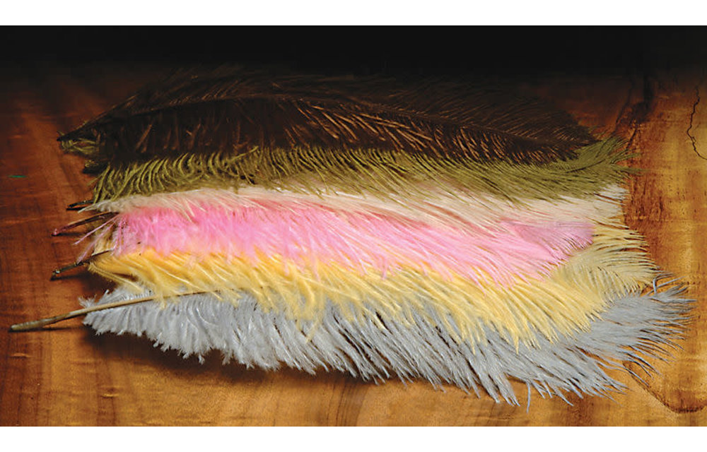 Ostrich Herl