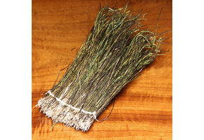 Strung Peacock Herl 5-7"