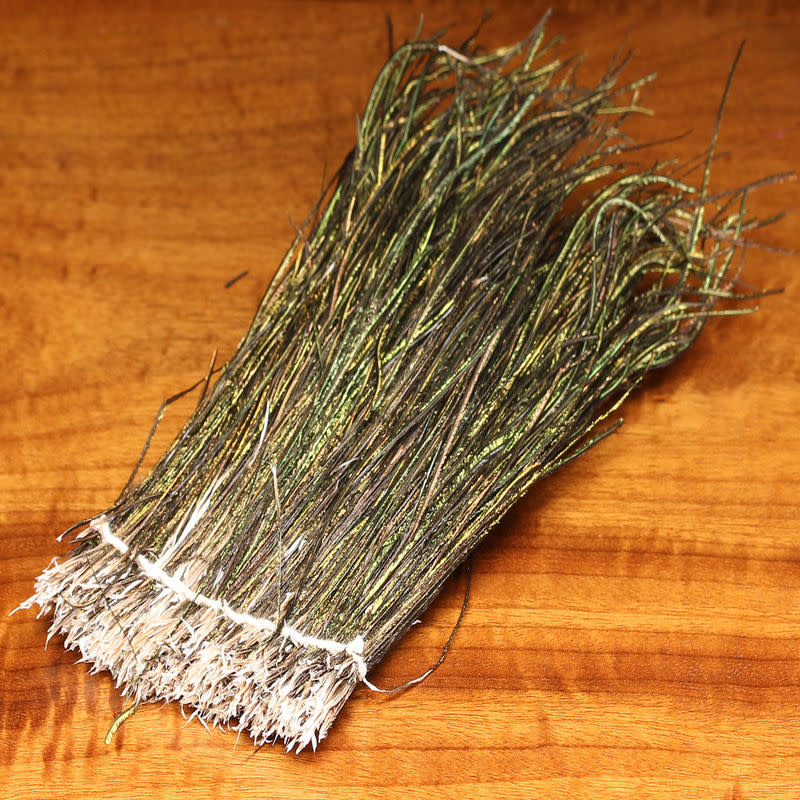 Strung Peacock Herl 5-7"