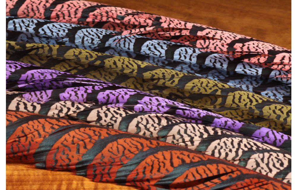 Lady Amherst Pheasant Tail Feather